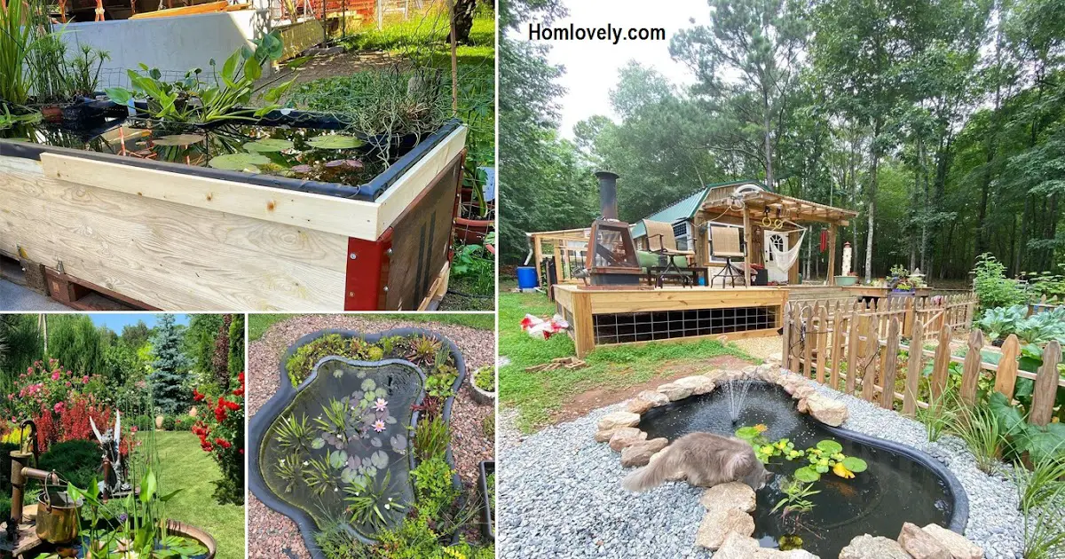 7 Cheap DIY Ponds To Bring Life To Your Garden » HouseDesigns